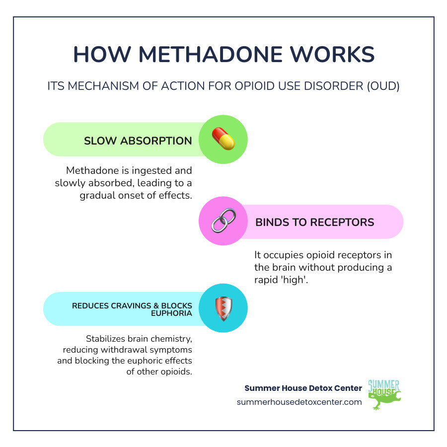 Infographic showing how methadone works in the brain: methadone molecules binding to opioid receptors, blocking other opioids and reducing cravings without causing euphoria, illustrating the difference between therapeutic use and physical dependence - methadone detox and rehab infographic infographic-line-3-steps-colors