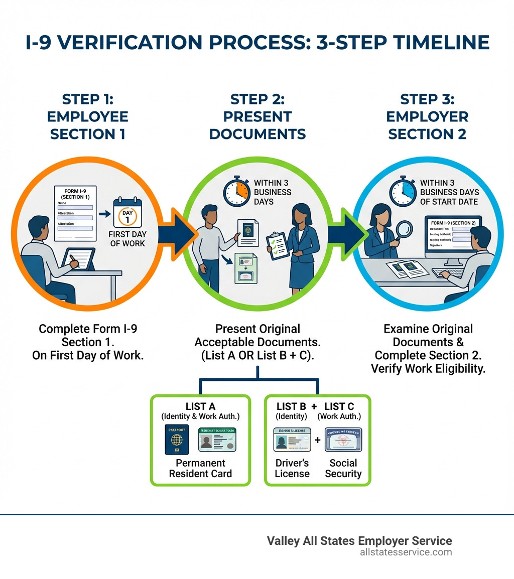 Infographic showing the I-9 verification process in 3 steps: Step 1 shows an employee completing Section 1 of Form I-9 on their first day of work; Step 2 shows an employee presenting acceptable documents from List A or Lists B and C within 3 business days; Step 3 shows an employer examining original documents and completing Section 2 of Form I-9 within 3 business days of the employee's start date - i 9 employment eligibility verification acceptable documents infographic Infographic showing the I-9 verification process in 3 steps: Step 1 shows an employee completing Section 1 of Form I-9 on their first day of work; Step 2 shows an employee presenting acceptable documents from List A or Lists B and C within 3 business days; Step 3 shows an employer examining original documents and completing Section 2 of Form I-9 within 3 business days of the employee's start date - i 9 employment eligibility verification acceptable documents infographic