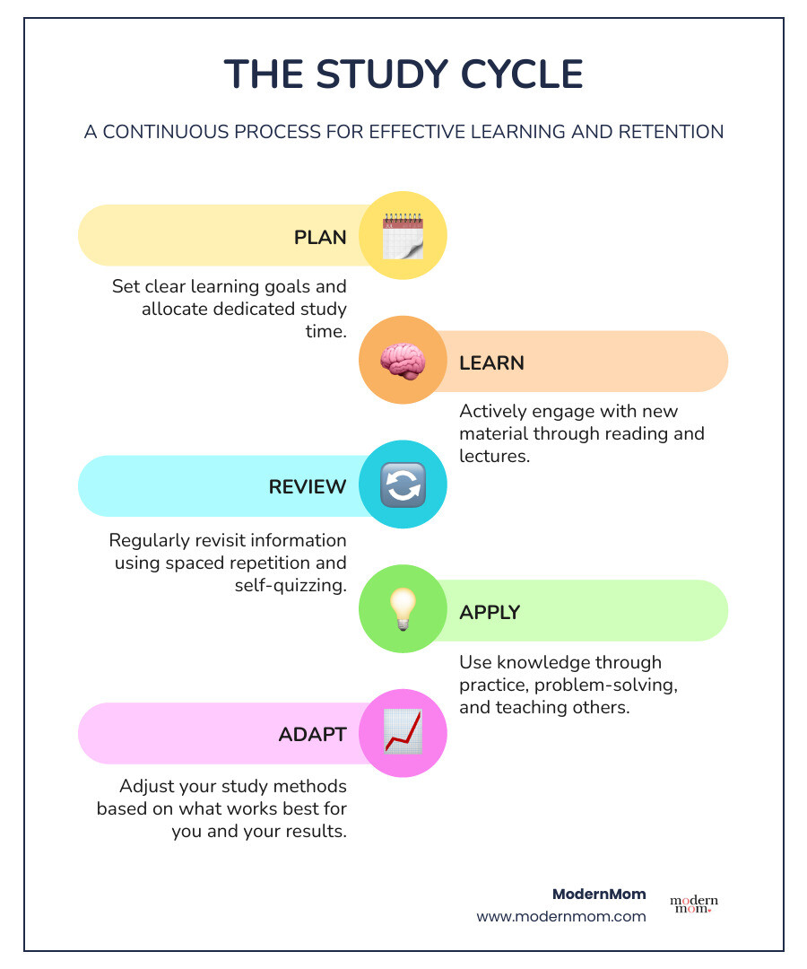 infographic showing the study cycle with four connected stages: Plan your study time and set clear goals, Learn actively through reading and engagement, Review material regularly using spaced repetition, and Apply knowledge through practice and self-testing - study skills resources infographic infographic-line-5-steps-colors infographic showing the study cycle with four connected stages: Plan your study time and set clear goals, Learn actively through reading and engagement, Review material regularly using spaced repetition, and Apply knowledge through practice and self-testing - study skills resources infographic infographic-line-5-steps-colors