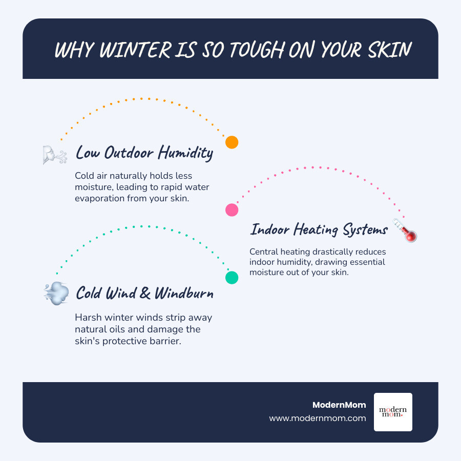 infographic showing three main causes of dry winter skin: low outdoor humidity depleting skin moisture, indoor heating systems removing moisture from air, and cold wind damaging the skin's protective barrier - healthy winter skin infographic infographic-line-3-steps-blues-accent_colors