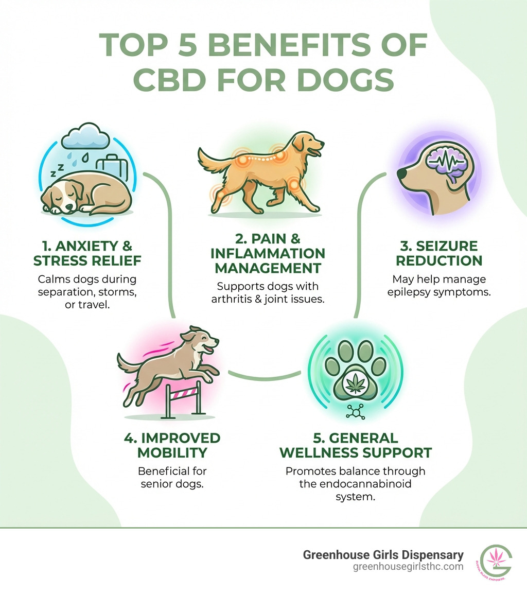 Infographic showing the top 5 benefits of CBD for dogs: 1. Anxiety and Stress Relief - helps calm dogs during separation, storms, or travel; 2. Pain and Inflammation Management - supports dogs with arthritis and joint issues; 3. Seizure Reduction - may help manage epilepsy symptoms; 4. Improved Mobility - especially beneficial for senior dogs; 5. General Wellness Support - promotes balance through the endocannabinoid system - pet cbd treats for dogs near me infographic 