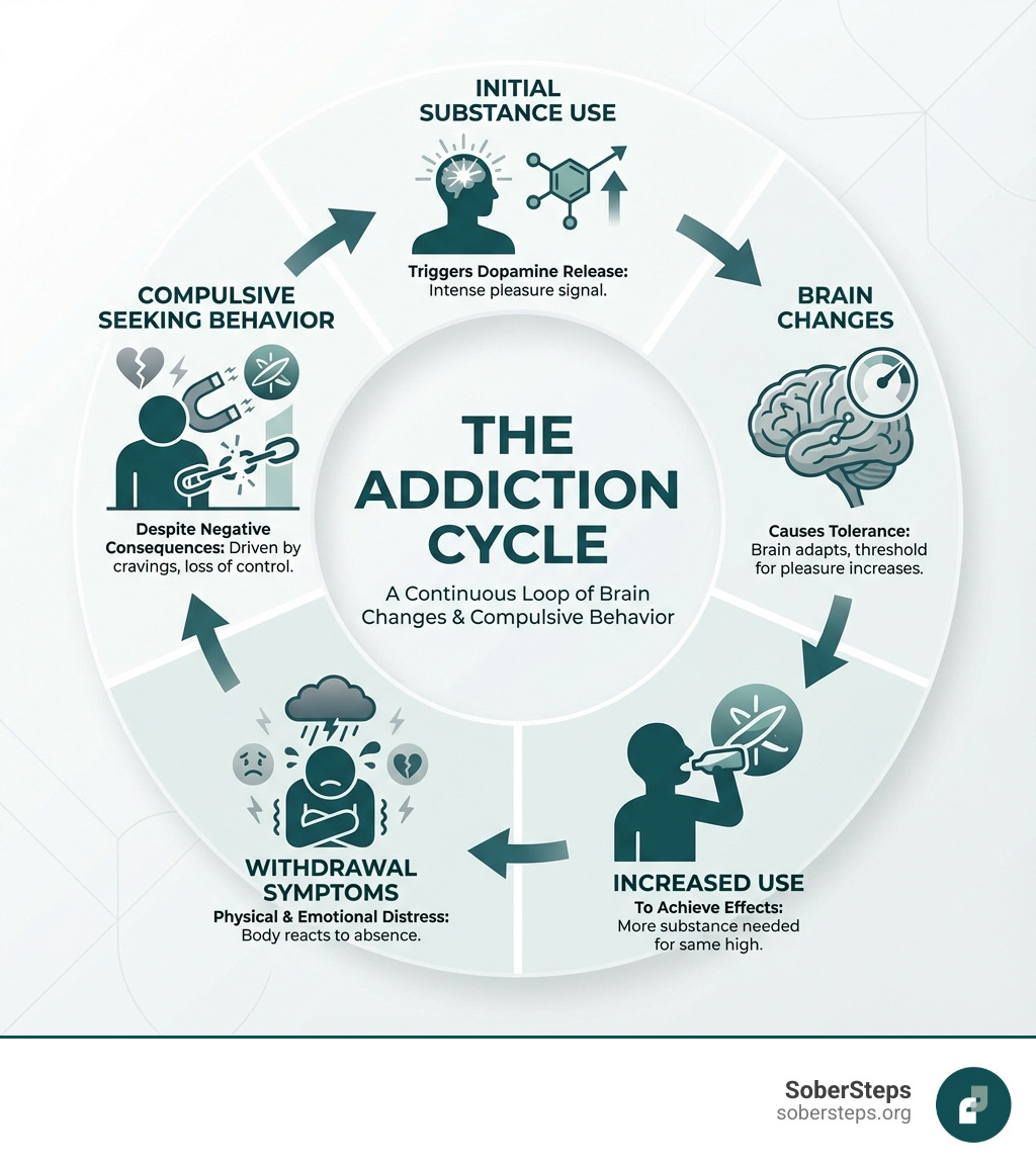 infographic showing the addiction cycle: initial substance use leading to dopamine release, brain changes causing tolerance, increased use to achieve effects, withdrawal symptoms, and compulsive seeking behavior despite negative consequences - addiction infographic infographic showing the addiction cycle: initial substance use leading to dopamine release, brain changes causing tolerance, increased use to achieve effects, withdrawal symptoms, and compulsive seeking behavior despite negative consequences - addiction infographic