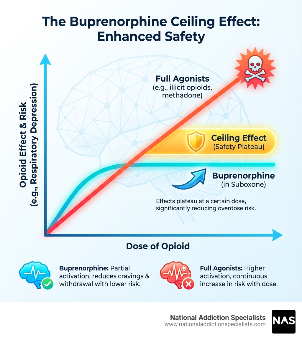 Infographic illustrating the "ceiling effect" of buprenorphine compared to full agonists - Suboxone for opioid use infographic Infographic illustrating the "ceiling effect" of buprenorphine compared to full agonists - Suboxone for opioid use infographic