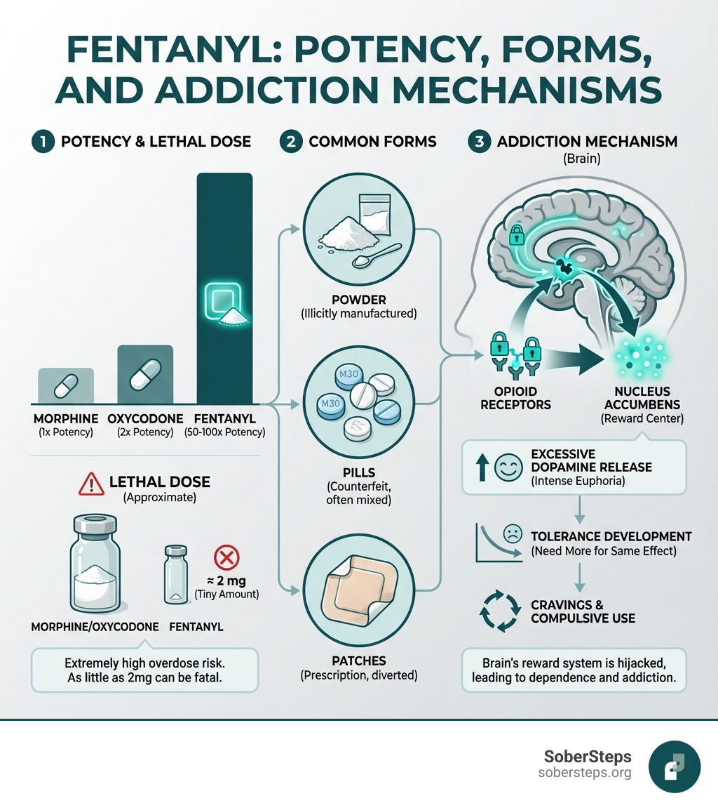 Infographic showing fentanyl's potency compared to morphine and oxycodone, including lethal dose information, common forms (powder, pills, patches), and how it affects the brain's opioid receptors to cause addiction through dopamine release and tolerance development - Fentanyl Addiction infographic 