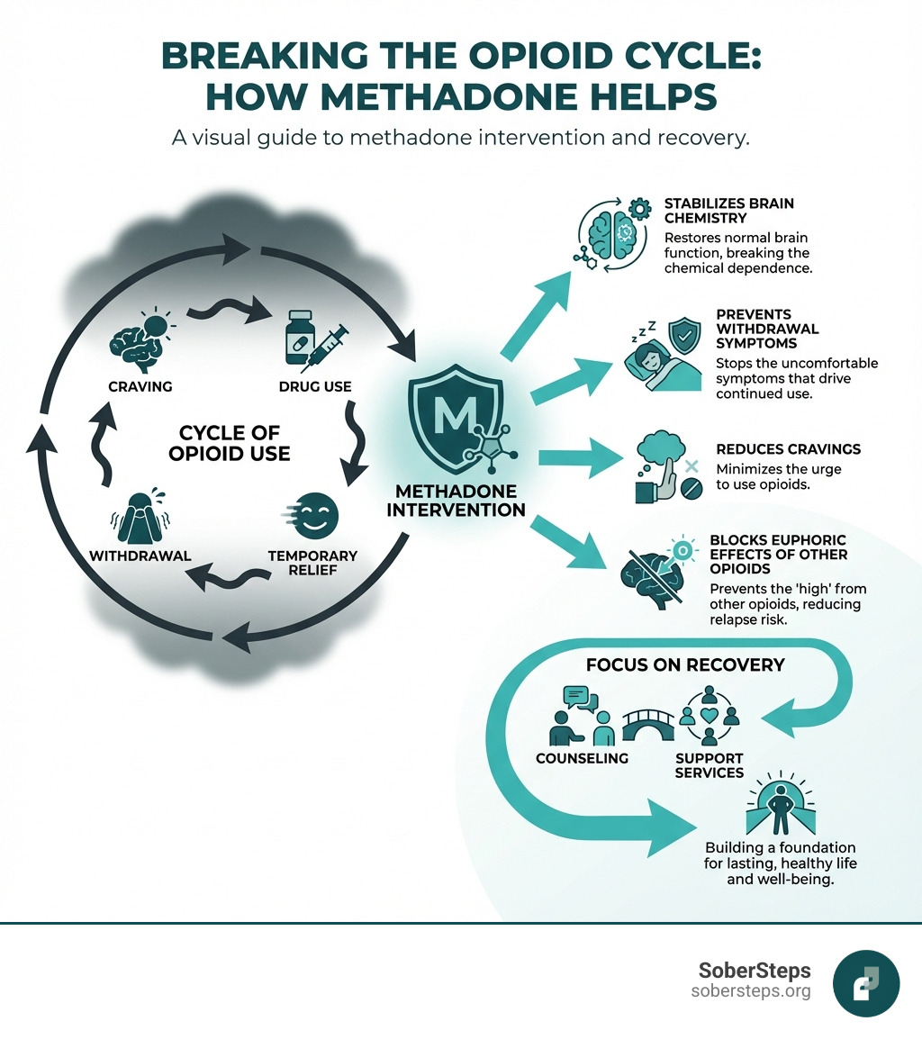 Infographic showing how methadone breaks the cycle of opioid addiction: depicts the cycle of opioid use (craving → drug use → temporary relief → withdrawal → craving) and how methadone intervention stabilizes brain chemistry, prevents withdrawal symptoms, reduces cravings, blocks euphoric effects of other opioids, and allows focus on recovery through counseling and support services - methadone clinic near me infographic Infographic showing how methadone breaks the cycle of opioid addiction: depicts the cycle of opioid use (craving → drug use → temporary relief → withdrawal → craving) and how methadone intervention stabilizes brain chemistry, prevents withdrawal symptoms, reduces cravings, blocks euphoric effects of other opioids, and allows focus on recovery through counseling and support services - methadone clinic near me infographic