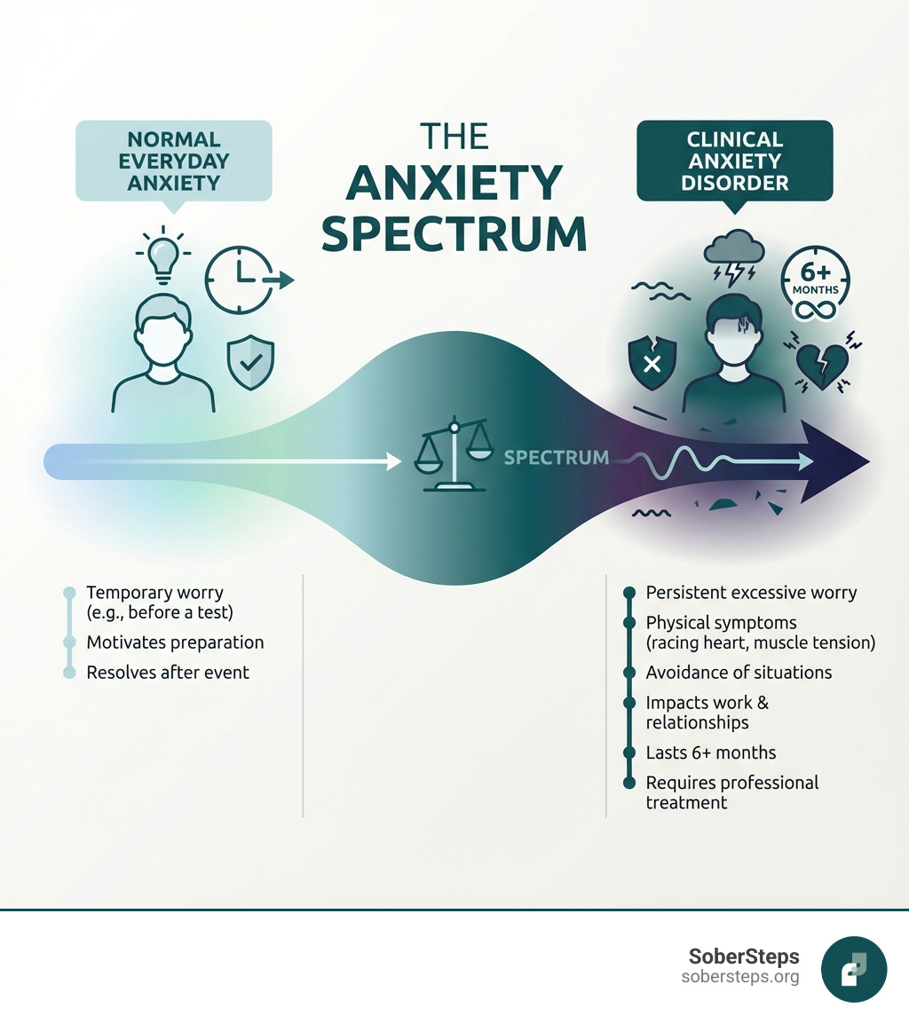 Infographic showing the spectrum from normal everyday anxiety (temporary worry before a test, motivates preparation, resolves after event) to clinical anxiety disorder (persistent excessive worry, physical symptoms like racing heart and muscle tension, avoidance of situations, impacts work and relationships, lasts 6+ months, requires professional treatment) - Anxiety Disorders infographic 