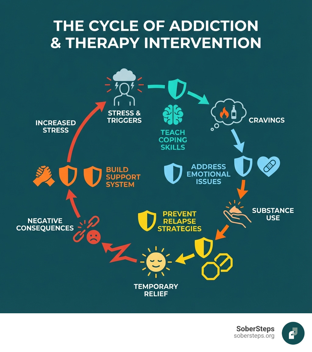 Infographic showing the cycle of addiction: stress and triggers lead to cravings, which lead to substance use, which leads to temporary relief followed by negative consequences and increased stress. Therapy intervenes at multiple points in this cycle by teaching coping skills to manage stress and triggers, addressing underlying emotional issues that drive cravings, developing strategies to prevent relapse, and building a support system for long-term recovery. - Therapy  infographic 