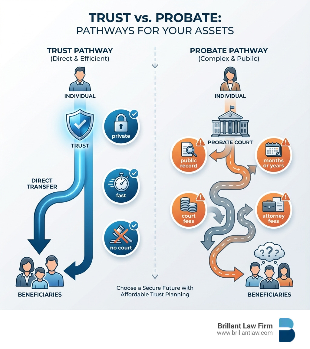 Infographic showing two pathways: on the left, assets flowing from an individual through a trust directly to beneficiaries with labels for 'private,' 'fast,' and 'no court'; on the right, assets flowing from an individual through probate court with labels for 'public record,' 'months or years,' 'court fees,' and 'attorney fees' before reaching beneficiaries - Affordable trust attorney infographic Infographic showing two pathways: on the left, assets flowing from an individual through a trust directly to beneficiaries with labels for 'private,' 'fast,' and 'no court'; on the right, assets flowing from an individual through probate court with labels for 'public record,' 'months or years,' 'court fees,' and 'attorney fees' before reaching beneficiaries - Affordable trust attorney infographic