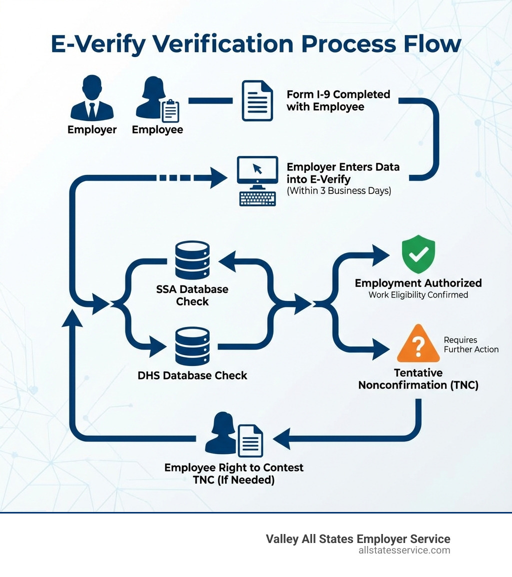 Infographic showing the E-Verify verification process flow: Employer completes Form I-9 with employee, enters data into E-Verify system within 3 business days, system checks information against SSA and DHS databases, employer receives Employment Authorized or Tentative Nonconfirmation result, employee has right to contest TNC if needed - uscis e verify employer infographic 