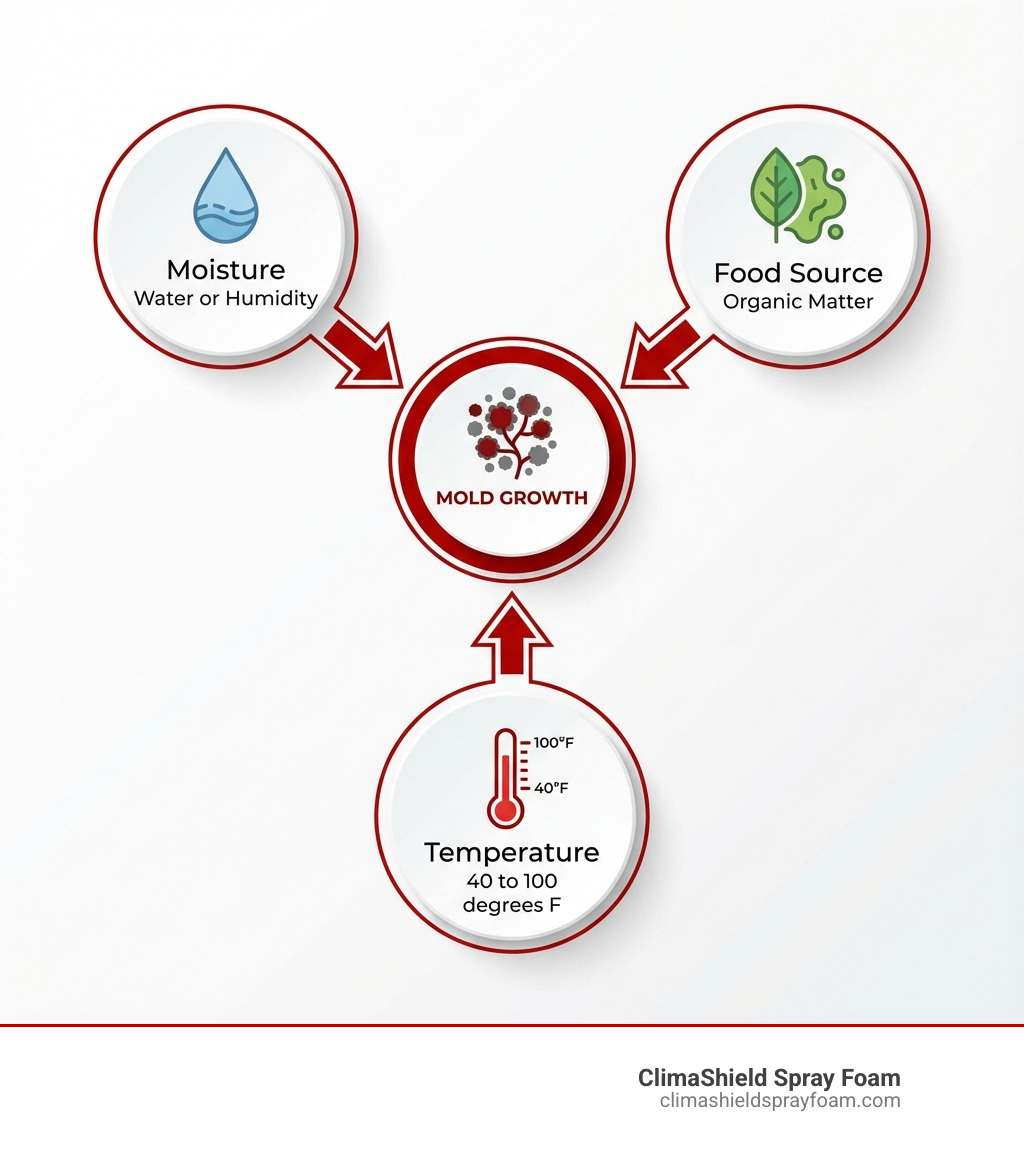 infographic showing three circles labeled moisture water or humidity, food source organic matter, and temperature 40 to 100 degrees F, all pointing to mold growth in the center - mold resistant insulation infographic infographic showing three circles labeled moisture water or humidity, food source organic matter, and temperature 40 to 100 degrees F, all pointing to mold growth in the center - mold resistant insulation infographic