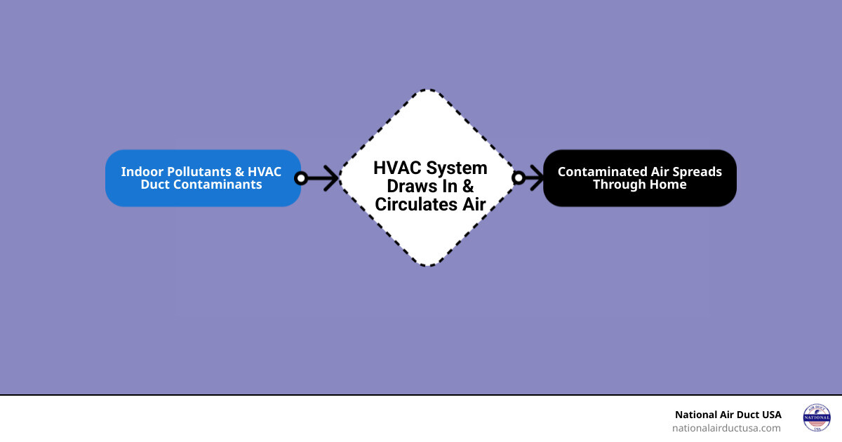 Infographic explaining the journey of contaminants through an HVAC system and into the home's air. - ac duct sanitizer infographic flowmap_simple Infographic explaining the journey of contaminants through an HVAC system and into the home's air. - ac duct sanitizer infographic flowmap_simple
