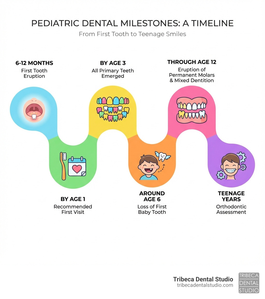infographic showing the timeline of pediatric dental milestones from first tooth eruption at 6-12 months through adolescence, including recommended first visit by age 1, emergence of primary teeth by age 3, loss of first baby tooth around age 6, eruption of permanent molars and mixed dentition through age 12, and orthodontic assessment during teenage years - Pediatric Dentistry NYC infographic infographic showing the timeline of pediatric dental milestones from first tooth eruption at 6-12 months through adolescence, including recommended first visit by age 1, emergence of primary teeth by age 3, loss of first baby tooth around age 6, eruption of permanent molars and mixed dentition through age 12, and orthodontic assessment during teenage years - Pediatric Dentistry NYC infographic