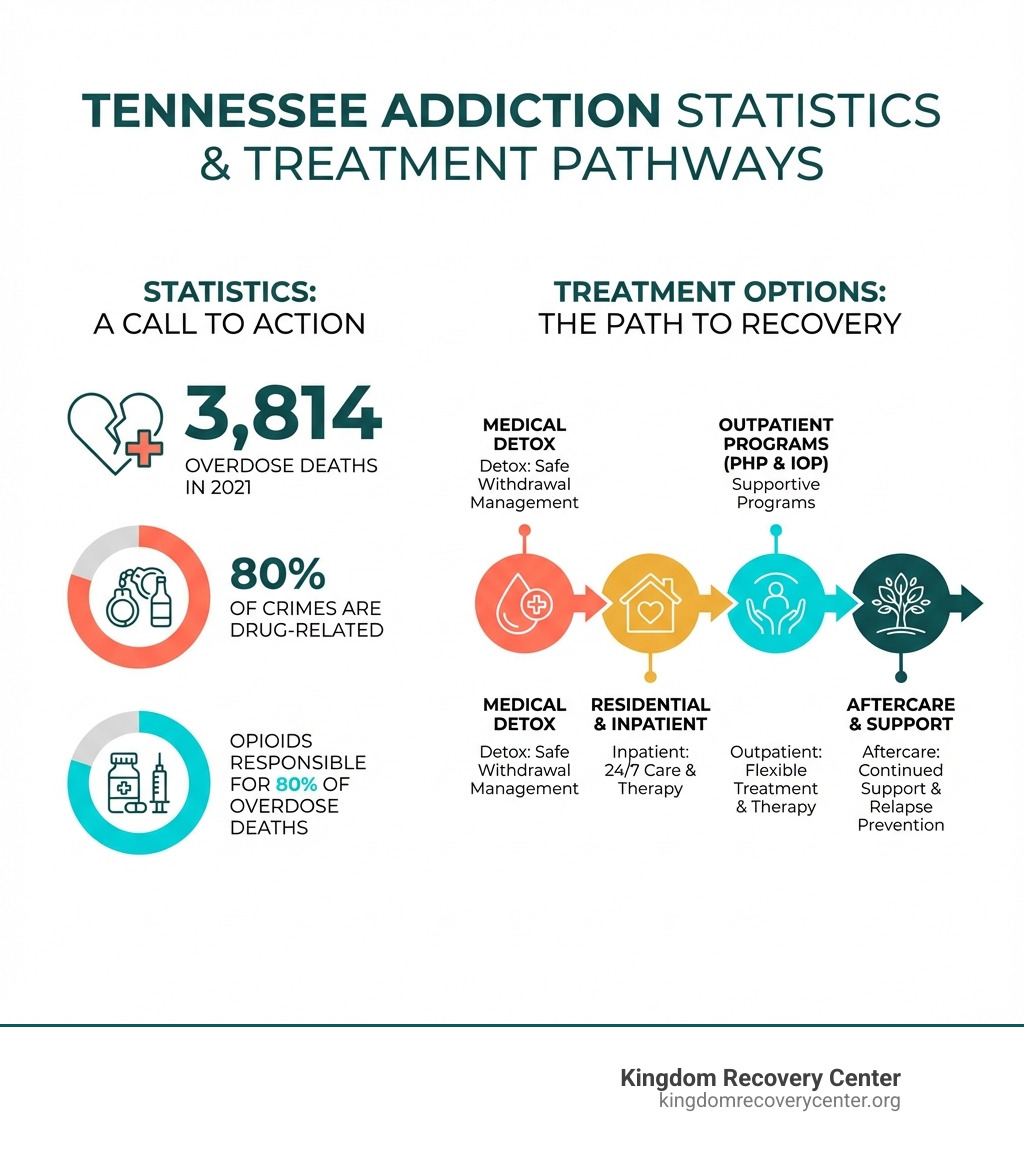 infographic showing Tennessee addiction statistics including 3,814 overdose deaths in 2021, 80% of crimes drug-related, opioids responsible for 80% of overdose deaths, and treatment options from detox through aftercare - drug rehab Sevier county tn infographic 