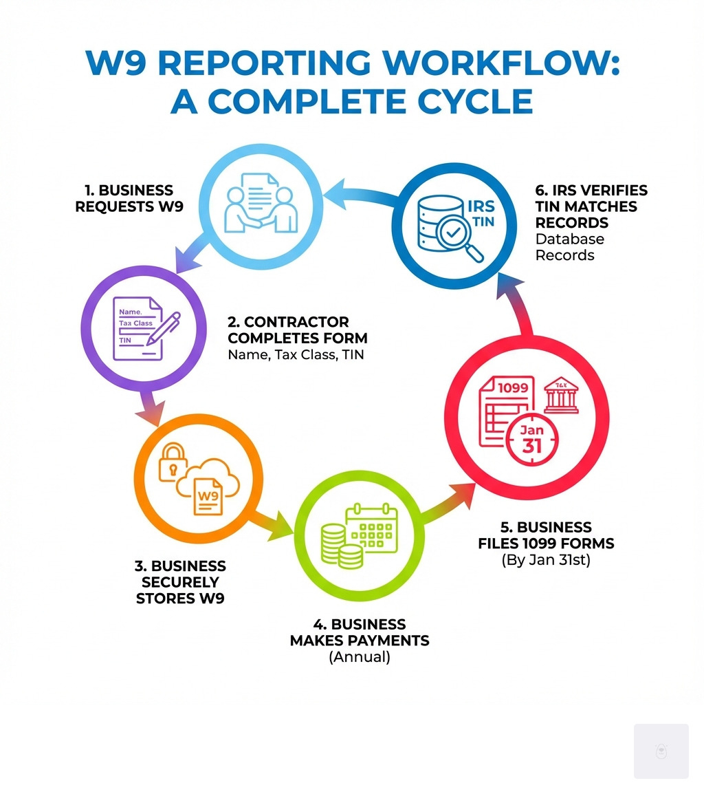 Infografía que muestra el flujo de trabajo completo de informes W9: La empresa solicita el W9 al contratista → El contratista completa el formulario con su nombre, clasificación fiscal y TIN → La empresa almacena el W9 de forma segura → La empresa realiza pagos durante todo el año → La empresa presenta formularios 1099 ante el IRS antes del 31 de enero utilizando la información del W9 → El IRS verifica que el TIN coincida con los registros - infografía de requisitos de informes W9 