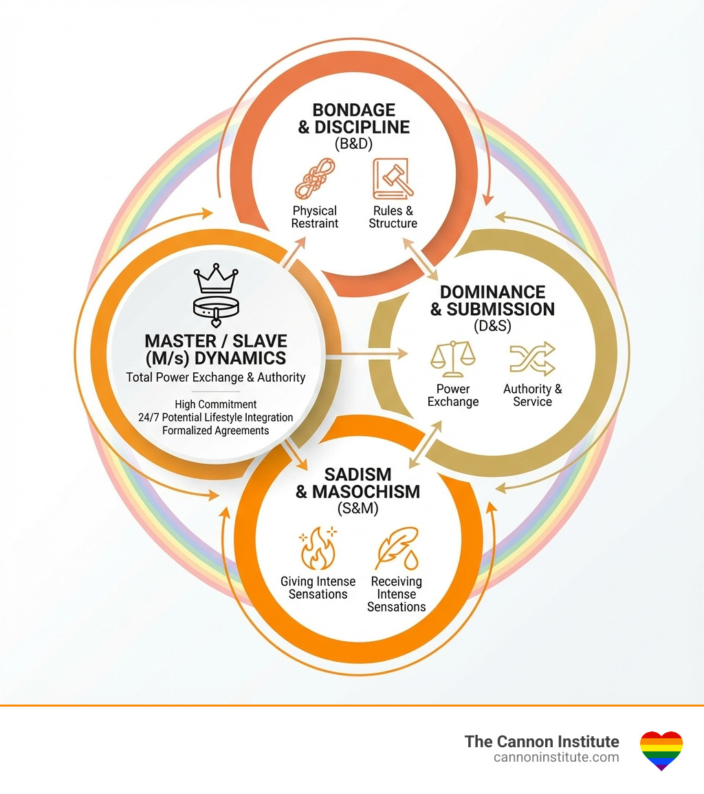 Infographic showing the definitions of BDSM components: Bondage & Discipline (physical restraint and rules), Dominance & Submission (power exchange), Sadism & Masochism (giving and receiving intense sensations), with Master/slave (M/s) dynamics highlighted as a specific form of total power exchange where one partner assumes complete authority while the other relinquishes control, distinguished by high commitment, 24/7 potential lifestyle integration, and formalized agreements - gay slave kink infographic 