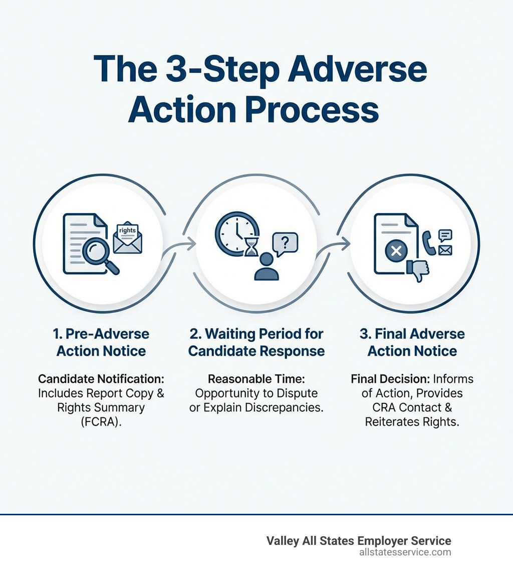 infographic explaining the 3-step adverse action process, including pre-adverse action notice, waiting period for candidate response, and final adverse action notice - pre employment background investigation infographic 