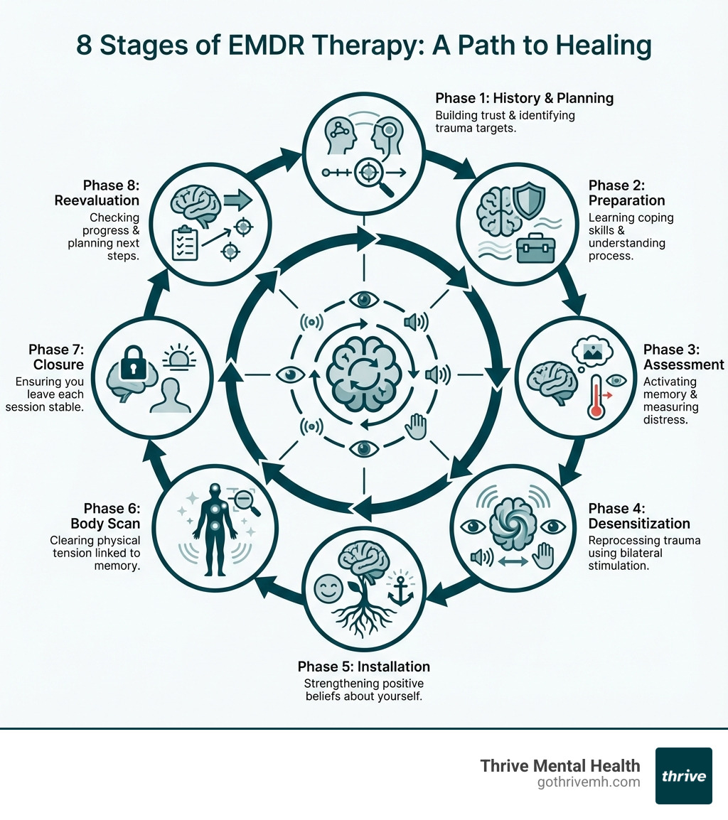 infographic showing the 8 stages of EMDR therapy in a circular flow: Phase 1 History & Planning, Phase 2 Preparation, Phase 3 Assessment, Phase 4 Desensitization, Phase 5 Installation, Phase 6 Body Scan, Phase 7 Closure, Phase 8 Reevaluation, with bilateral stimulation icons and brain processing symbols - stages of emdr infographic 