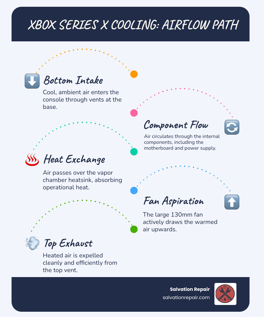 Infographic explaining the basic airflow of the Xbox Series X, from bottom intake to top exhaust - Xbox Series X fan infographic infographic-line-5-steps-blues-accent_colors