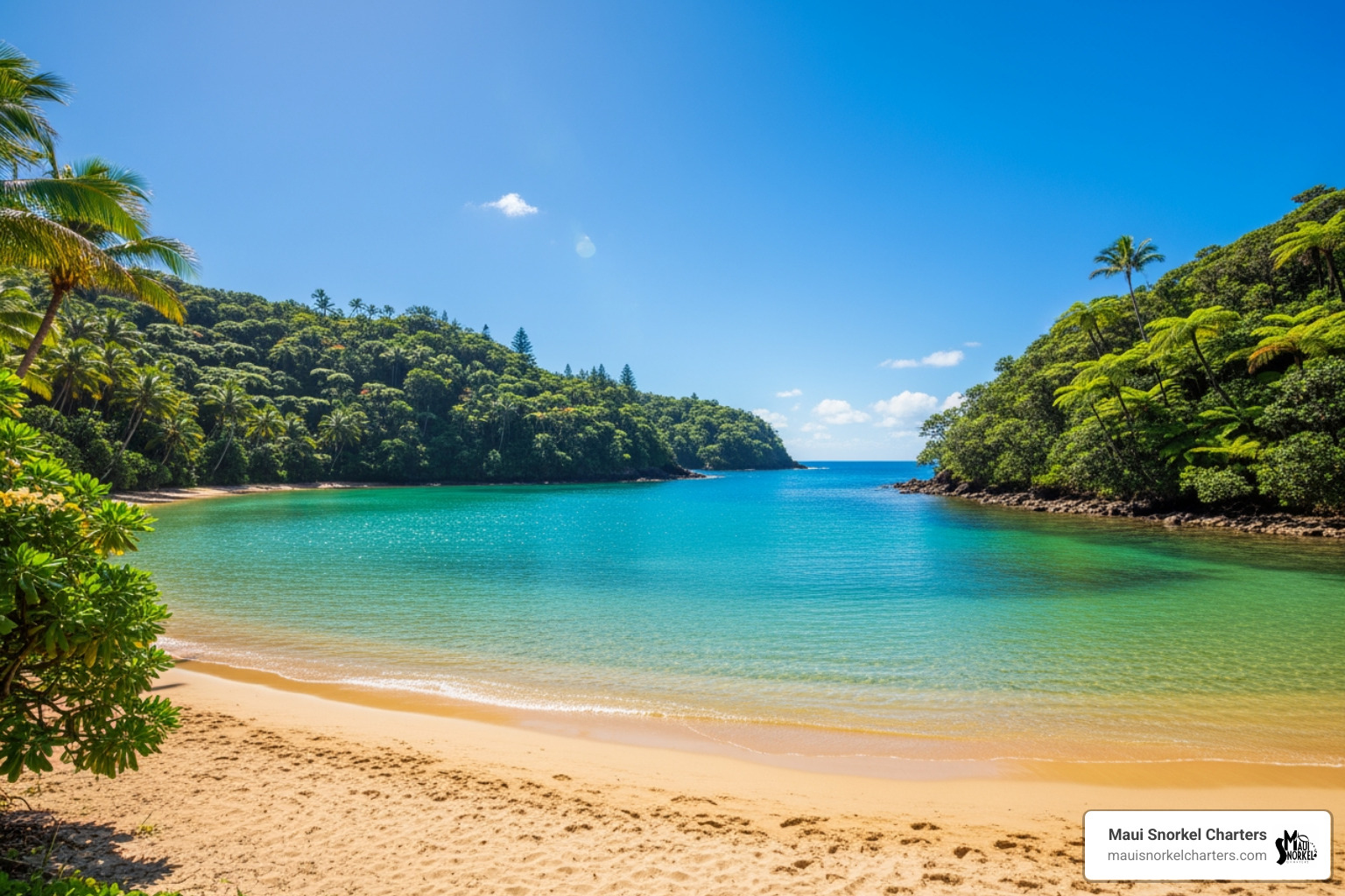 the crescent-shaped Kapalua Bay with calm water - Easy snorkeling Maui the crescent-shaped Kapalua Bay with calm water - Easy snorkeling Maui
