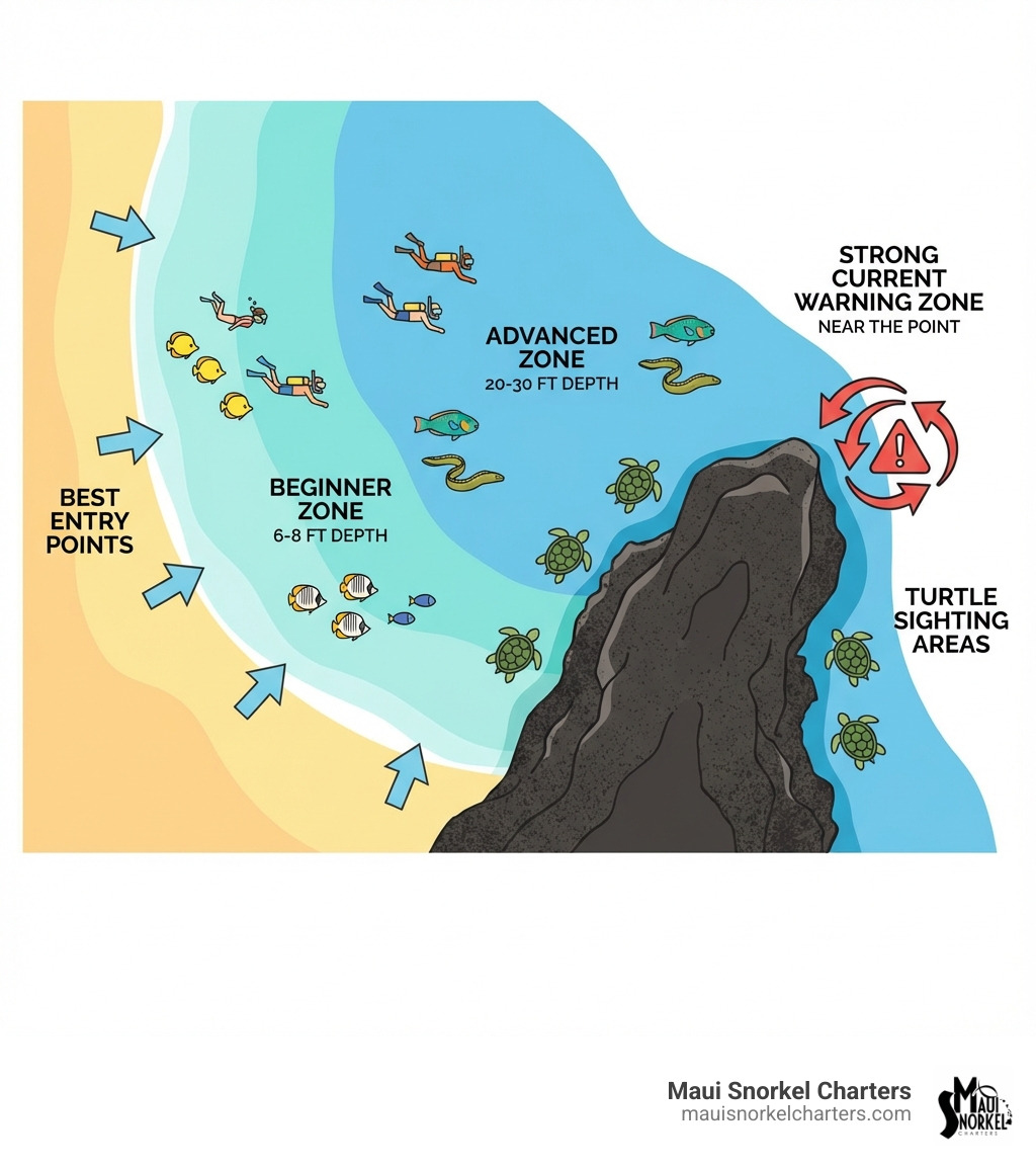 Infographic showing Black Rock snorkeling area with beginner zone near shore at 6-8 feet depth, advanced zone along rock walls at 20-30 feet, strong current warning zone near the point, best entry points from sandy beach, and common marine life locations including turtle sighting areas - black rock beach maui snorkeling infographic Infographic showing Black Rock snorkeling area with beginner zone near shore at 6-8 feet depth, advanced zone along rock walls at 20-30 feet, strong current warning zone near the point, best entry points from sandy beach, and common marine life locations including turtle sighting areas - black rock beach maui snorkeling infographic