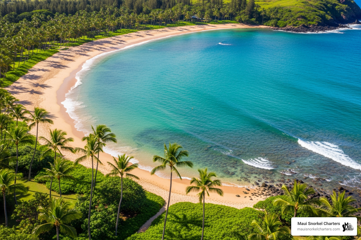 the crescent-shaped Kapalua Bay beach - Family snorkeling Maui the crescent-shaped Kapalua Bay beach - Family snorkeling Maui