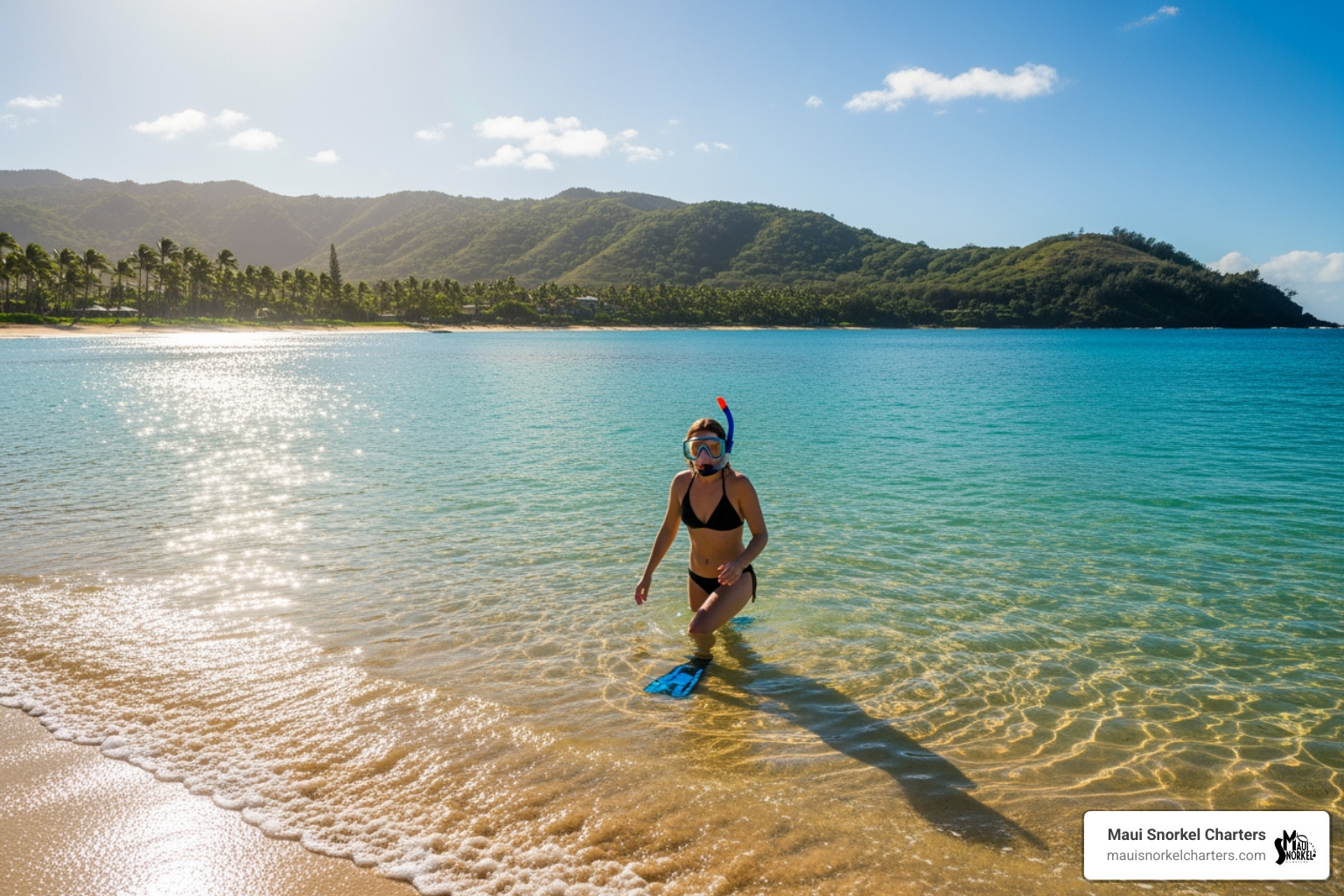 Snorkeler entering the water from the sandy shore at Kapalua Bay - kapalua beach snorkel