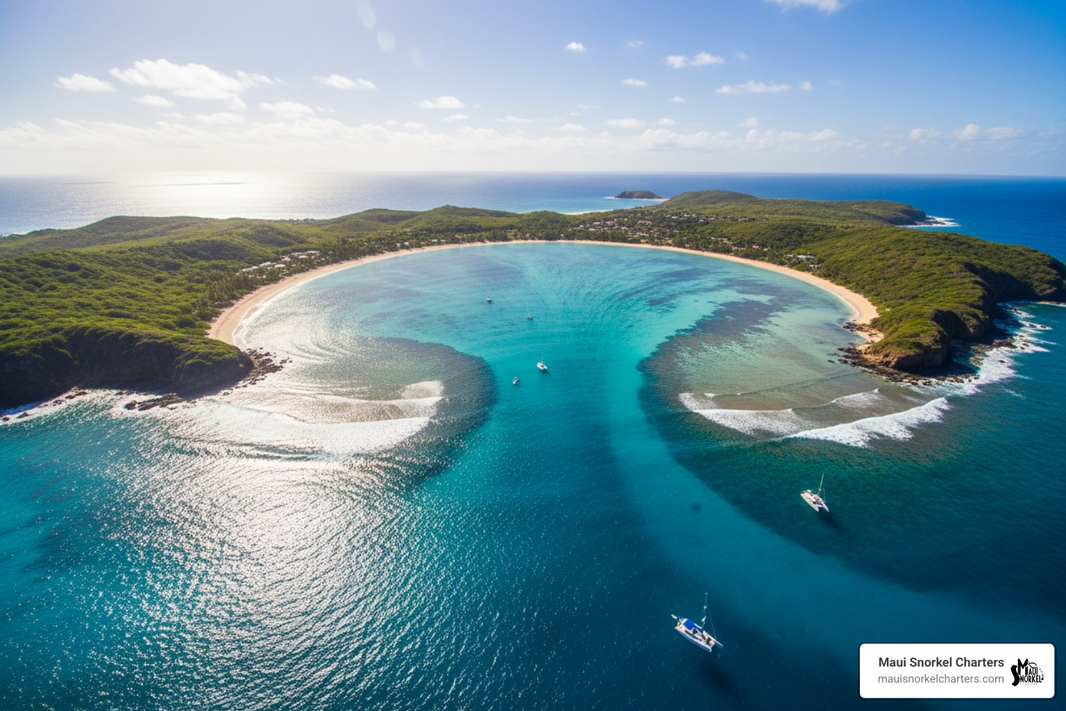 of the crescent-shaped Kapalua Bay, showing the calm, protected waters - kapalua bay turtles of the crescent-shaped Kapalua Bay, showing the calm, protected waters - kapalua bay turtles