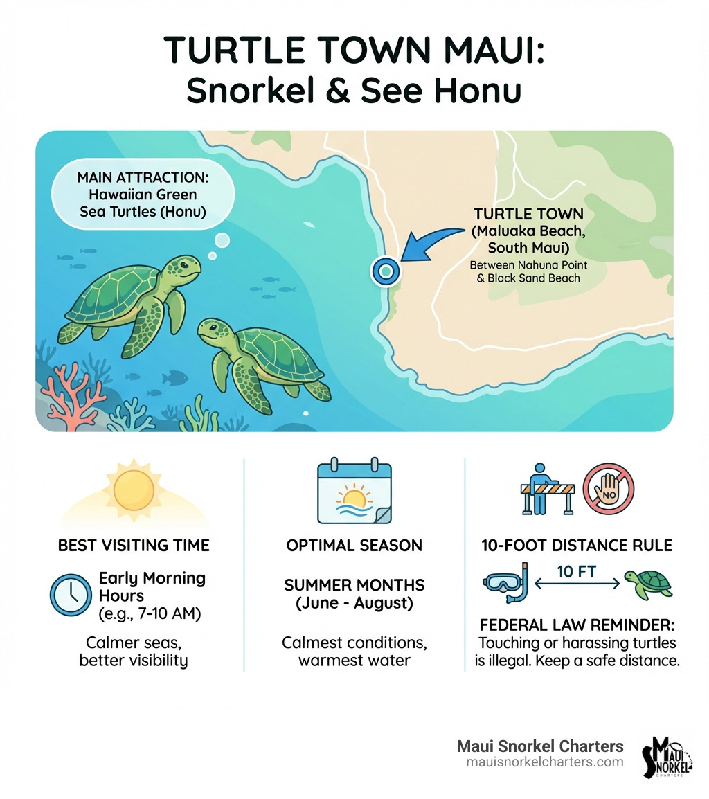 Infographic showing Turtle Town location map on South Maui coastline, Hawaiian green sea turtles as main attraction, best visiting time as early morning hours, optimal season as summer months for calmest conditions, and the 10-foot distance rule with reminder that touching or harassing turtles is illegal under federal law - turtle town maui infographic 