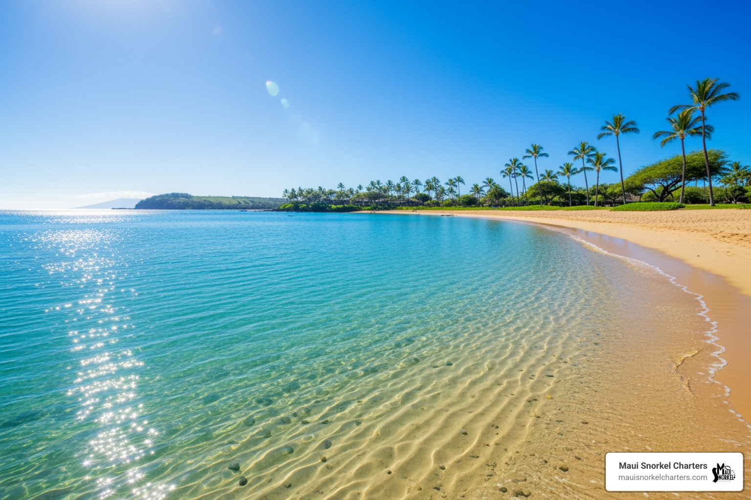 Clear, calm waters of Kapalua Bay - kapalua bay sharks Clear, calm waters of Kapalua Bay - kapalua bay sharks