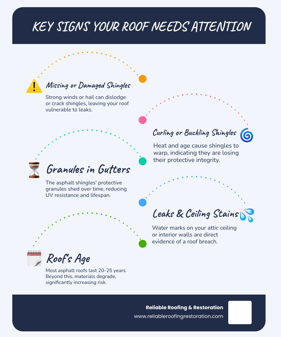 infographic explaining the key signs of roof damage - best roofers spring texas infographic infographic-line-5-steps-blues-accent_colors infographic explaining the key signs of roof damage - best roofers spring texas infographic infographic-line-5-steps-blues-accent_colors