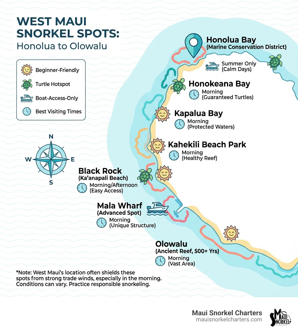 infographic showing a map of West Maui snorkel spots from Honolua Bay in the north to Olowalu in the south, with icons indicating beginner-friendly locations, turtle hotspots, and boat-access-only sites, plus best visiting times for each spot - best snorkeling in lahaina infographic infographic showing a map of West Maui snorkel spots from Honolua Bay in the north to Olowalu in the south, with icons indicating beginner-friendly locations, turtle hotspots, and boat-access-only sites, plus best visiting times for each spot - best snorkeling in lahaina infographic