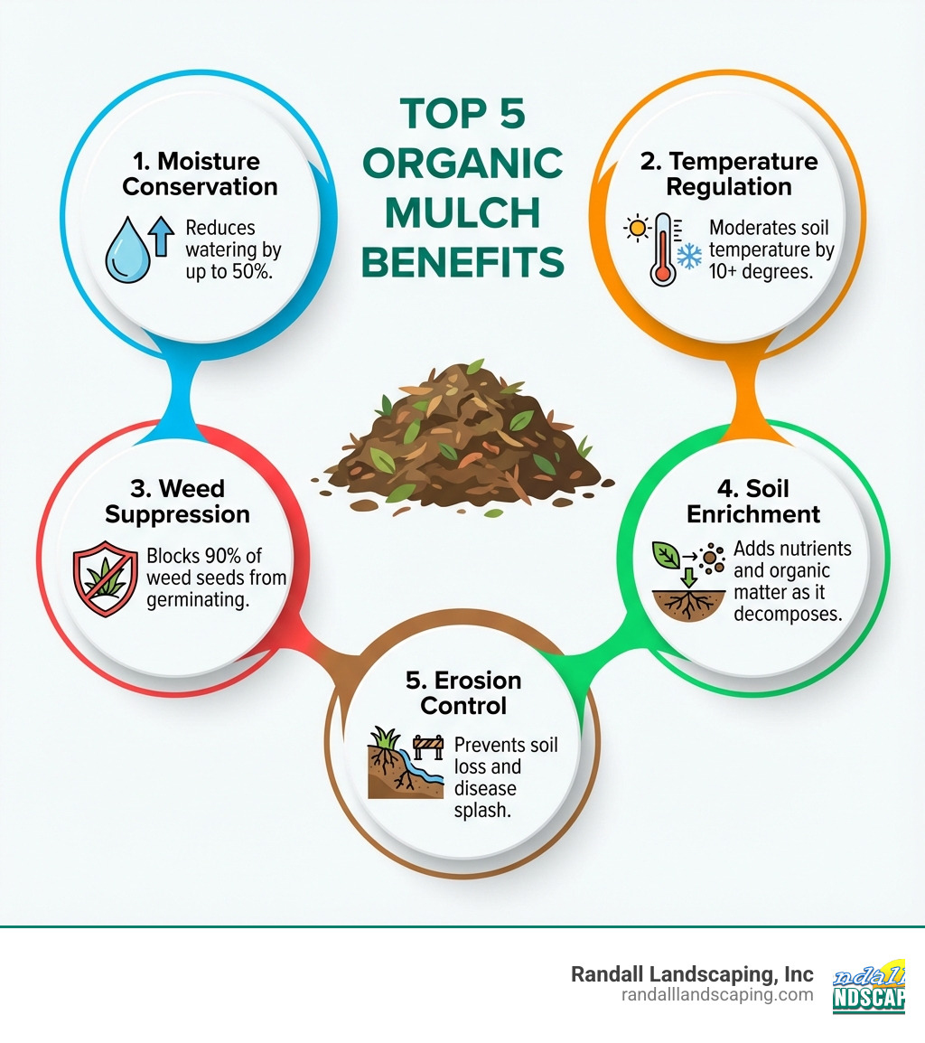 Infographic showing the top 5 organic mulch benefits: 1. Moisture Conservation - reduces watering by up to 50%, 2. Temperature Regulation - moderates soil temperature by 10+ degrees, 3. Weed Suppression - blocks 90% of weed seeds from germinating, 4. Soil Enrichment - adds nutrients and organic matter as it decomposes, 5. Erosion Control - prevents soil loss and disease splash - Organic mulch benefits infographic 