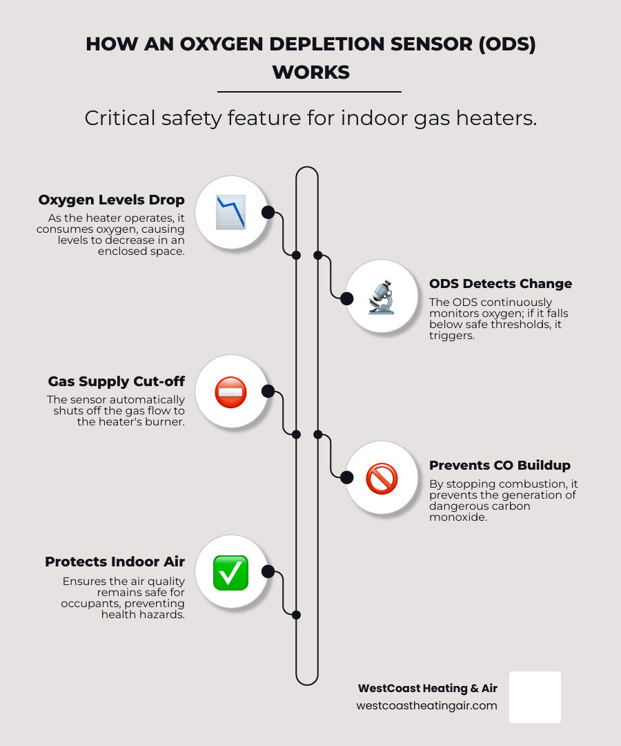 Infographic showing how an Oxygen Depletion Sensor (ODS) works: when oxygen levels drop below safe thresholds in an enclosed space, the ODS automatically shuts off gas flow to the burner, preventing dangerous carbon monoxide buildup and protecting indoor air quality - 30000 btu gas heater infographic infographic-line-5-steps-elegant_beige Infographic showing how an Oxygen Depletion Sensor (ODS) works: when oxygen levels drop below safe thresholds in an enclosed space, the ODS automatically shuts off gas flow to the burner, preventing dangerous carbon monoxide buildup and protecting indoor air quality - 30000 btu gas heater infographic infographic-line-5-steps-elegant_beige