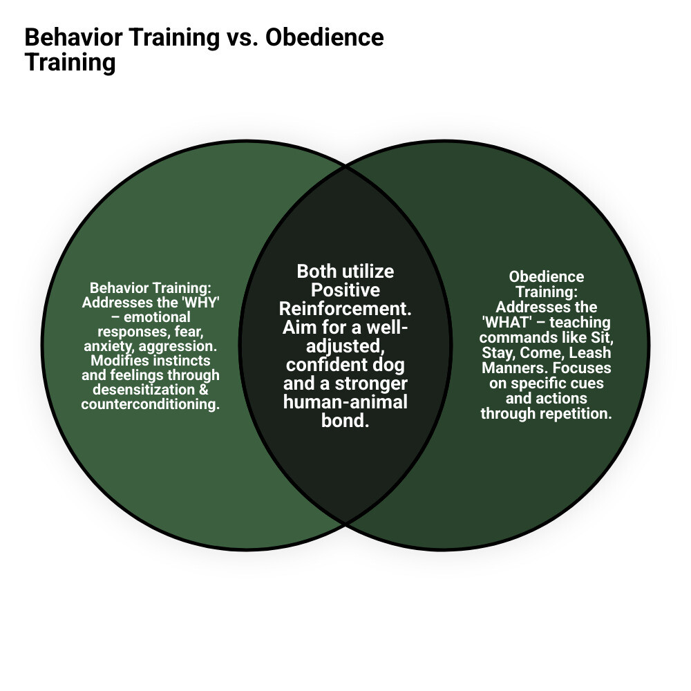 Infographic comparing behavior training and obedience training: Behavior Training addresses the WHY - emotional responses, fear, anxiety, changing associations through desensitization and counterconditioning. Obedience Training addresses the WHAT - commands like sit, stay, come through positive reinforcement and repetition. Behavior training modifies feelings and instincts, while obedience training teaches specific cues and actions. - behavior training for dogs infographic venn_diagram Infographic comparing behavior training and obedience training: Behavior Training addresses the WHY - emotional responses, fear, anxiety, changing associations through desensitization and counterconditioning. Obedience Training addresses the WHAT - commands like sit, stay, come through positive reinforcement and repetition. Behavior training modifies feelings and instincts, while obedience training teaches specific cues and actions. - behavior training for dogs infographic venn_diagram