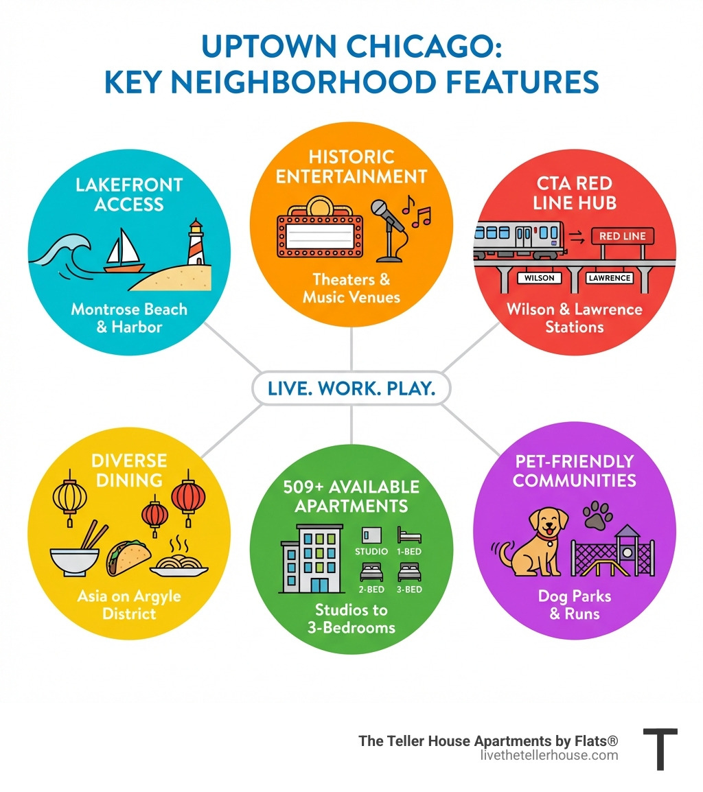 Infographic showing Uptown Chicago's key features: Lakefront Access to Montrose Beach and Harbor, Historic Entertainment District with theaters and music venues, CTA Red Line Hub at Wilson and Lawrence stations, Diverse Dining including Asia on Argyle district, 509+ Available Apartments ranging from studios to 3-bedrooms, and Pet-Friendly Communities with dog parks and runs - apartments in Uptown Chicago infographic 