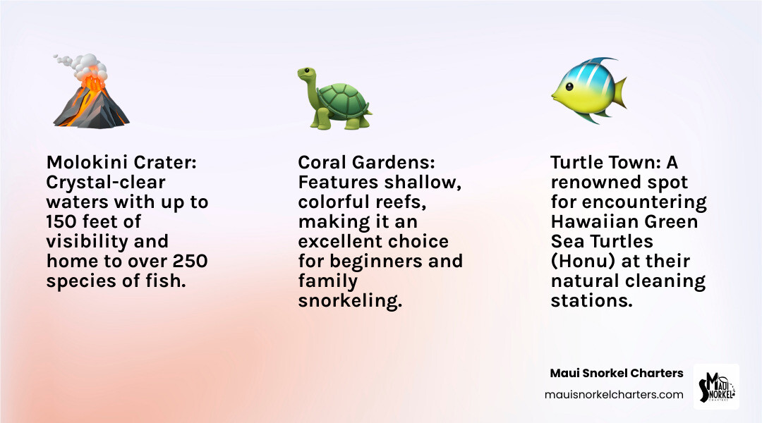 Infographic showing a map of Maui with key snorkeling destinations marked: Molokini Crater (off South Maui coast, crescent-shaped volcanic crater icon), Turtle Town (south of Wailea, turtle icon), Coral Gardens (near Molokini, coral icon), and West Maui spots like Honolua Bay and Oluwalu (northwest coast, fish icons). Each location includes a brief callout: Molokini - 150ft visibility, 250+ fish species; Turtle Town - Hawaiian Green Sea Turtles; Coral Gardens - shallow reefs for beginners; West Maui - dolphins and seasonal whales. Departure points noted at Kihei Boat Ramp and Ma'alaea Harbor. - Maui snorkeling adventure infographic 3_facts_emoji_light-gradient Infographic showing a map of Maui with key snorkeling destinations marked: Molokini Crater (off South Maui coast, crescent-shaped volcanic crater icon), Turtle Town (south of Wailea, turtle icon), Coral Gardens (near Molokini, coral icon), and West Maui spots like Honolua Bay and Oluwalu (northwest coast, fish icons). Each location includes a brief callout: Molokini - 150ft visibility, 250+ fish species; Turtle Town - Hawaiian Green Sea Turtles; Coral Gardens - shallow reefs for beginners; West Maui - dolphins and seasonal whales. Departure points noted at Kihei Boat Ramp and Ma'alaea Harbor. - Maui snorkeling adventure infographic 3_facts_emoji_light-gradient