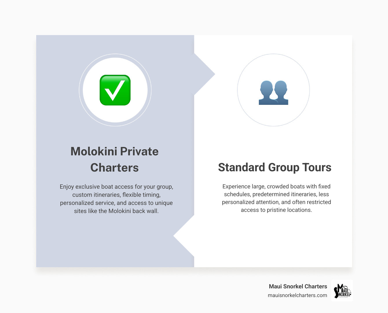 Infographic comparing Molokini private charters to standard group tours: Private charters offer custom itineraries with flexible timing and departure schedules, maximum capacity of 6-24 passengers depending on vessel type, personalized crew attention and snorkel instruction, access to exclusive sites like Molokini's back wall, included amenities such as meals and premium snorkel gear, and the ability to customize activities like whale watching or visiting Turtle Town - Molokini private charters infographic comparison-2-items-formal