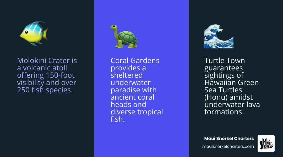 infographic showing map of Maui with three key snorkeling areas marked: Molokini Crater to the south (labeled as volcanic atoll with exceptional clarity), Turtle Town along the southwest coast (labeled for turtle encounters), and Coral Gardens near the western shore (labeled as sheltered reef system), with icons indicating tour departure points at Kihei Boat Ramp and Maalaea Harbor - Maui snorkeling adventures infographic 3_facts_emoji_blue infographic showing map of Maui with three key snorkeling areas marked: Molokini Crater to the south (labeled as volcanic atoll with exceptional clarity), Turtle Town along the southwest coast (labeled for turtle encounters), and Coral Gardens near the western shore (labeled as sheltered reef system), with icons indicating tour departure points at Kihei Boat Ramp and Maalaea Harbor - Maui snorkeling adventures infographic 3_facts_emoji_blue