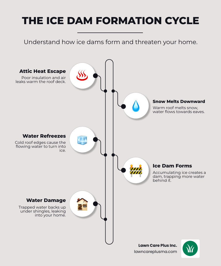 Infographic showing the ice dam formation cycle: 1. Heat escapes from poorly insulated attic and warms roof deck, 2. Snow on warm roof melts and water flows downward, 3. Water reaches cold roof eaves and refreezes into ice, 4. Ice dam grows and traps water behind it, 5. Trapped water backs up under shingles and leaks into home causing ceiling stains, wall damage, and insulation saturation - Ice dam removal Boston infographic infographic-line-5-steps-elegant_beige