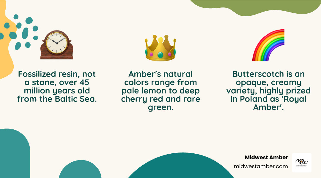 Infographic showing the complete spectrum of Baltic amber colors from pale butterscotch and creamy white through golden honey, cognac, and cherry red to rare green amber, with butterscotch highlighted as the most prized opaque variety favored in Poland - Butterscotch amber earrings infographic 3_facts_emoji_nature