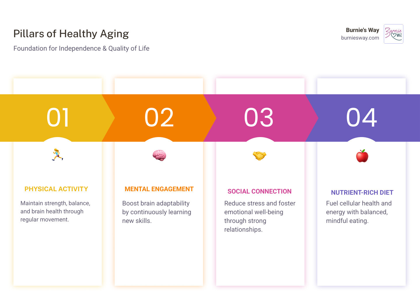 Infographic showing the four pillars of healthy aging: a person walking for physical activity, a person reading for mental engagement, people gathered together for social connection, and colorful fruits and vegetables for nutrition, with arrows showing how each contributes to independence and quality of life - adapting to aging infographic pillar-4-steps