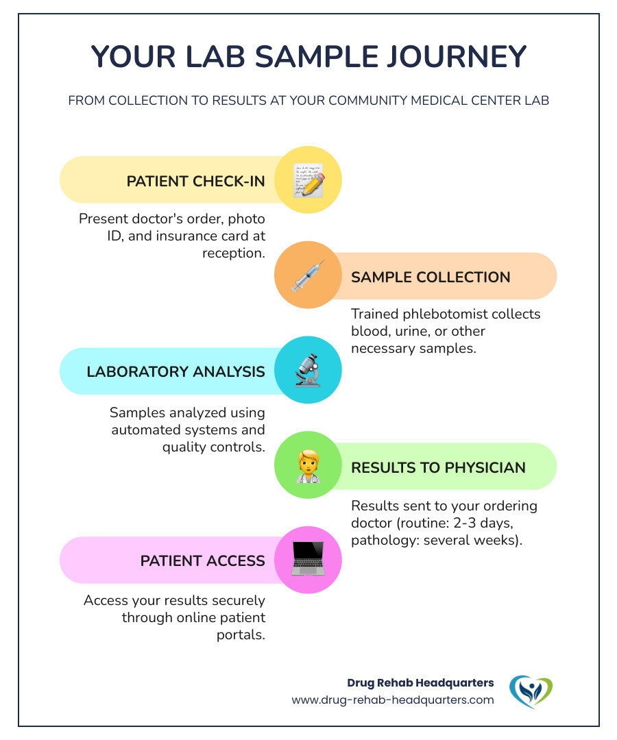 Infographic showing the complete lab testing process: patient check-in with doctor's order and insurance card, sample collection by trained phlebotomist, laboratory analysis using automated systems and quality controls, result delivery to ordering physician within 2-3 days for routine tests or several weeks for pathology, and patient access through secure online portal - community medical center lab infographic infographic-line-5-steps-colors
