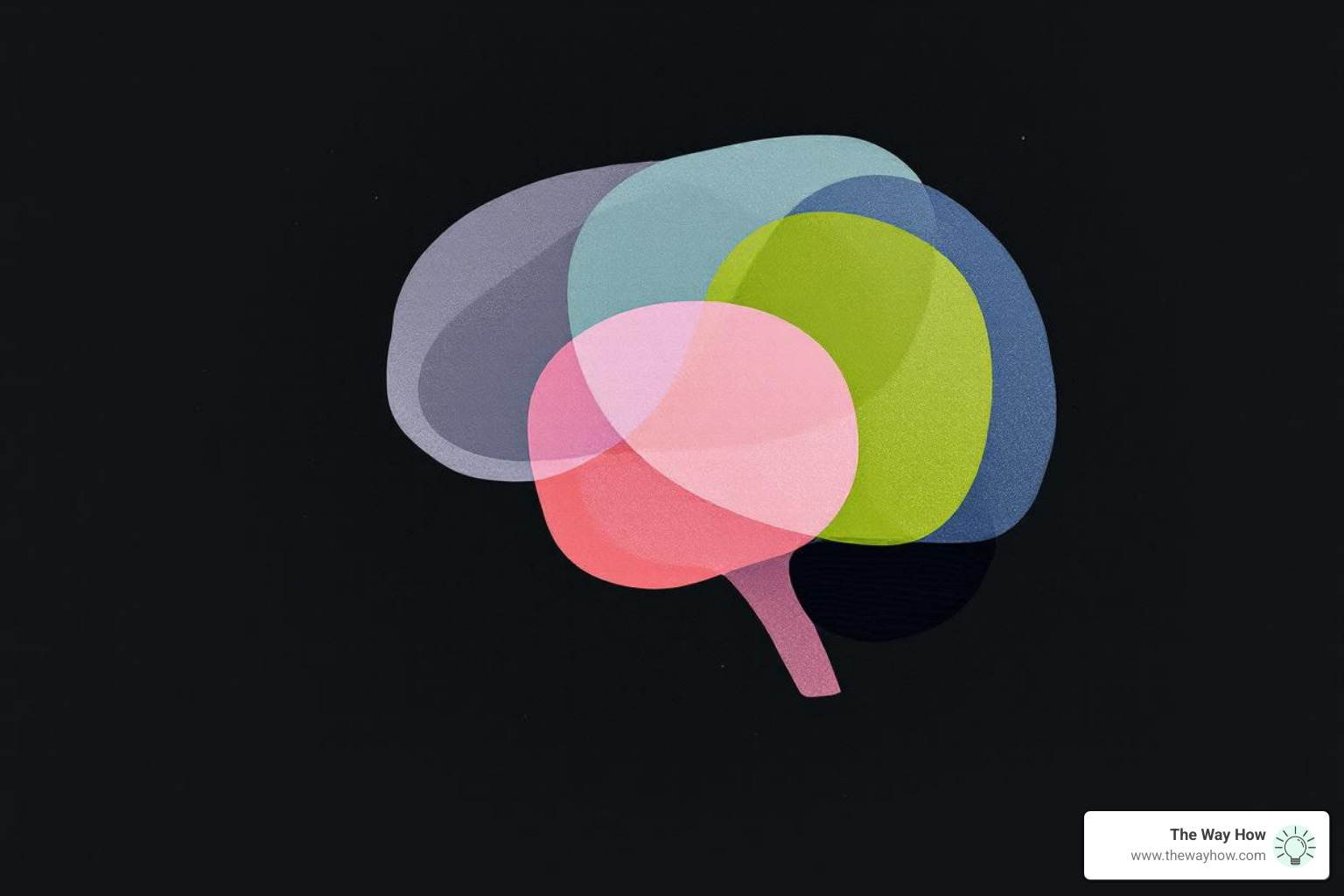 brain with five stages mapped - 5 stages of customer journey map brain with five stages mapped - 5 stages of customer journey map