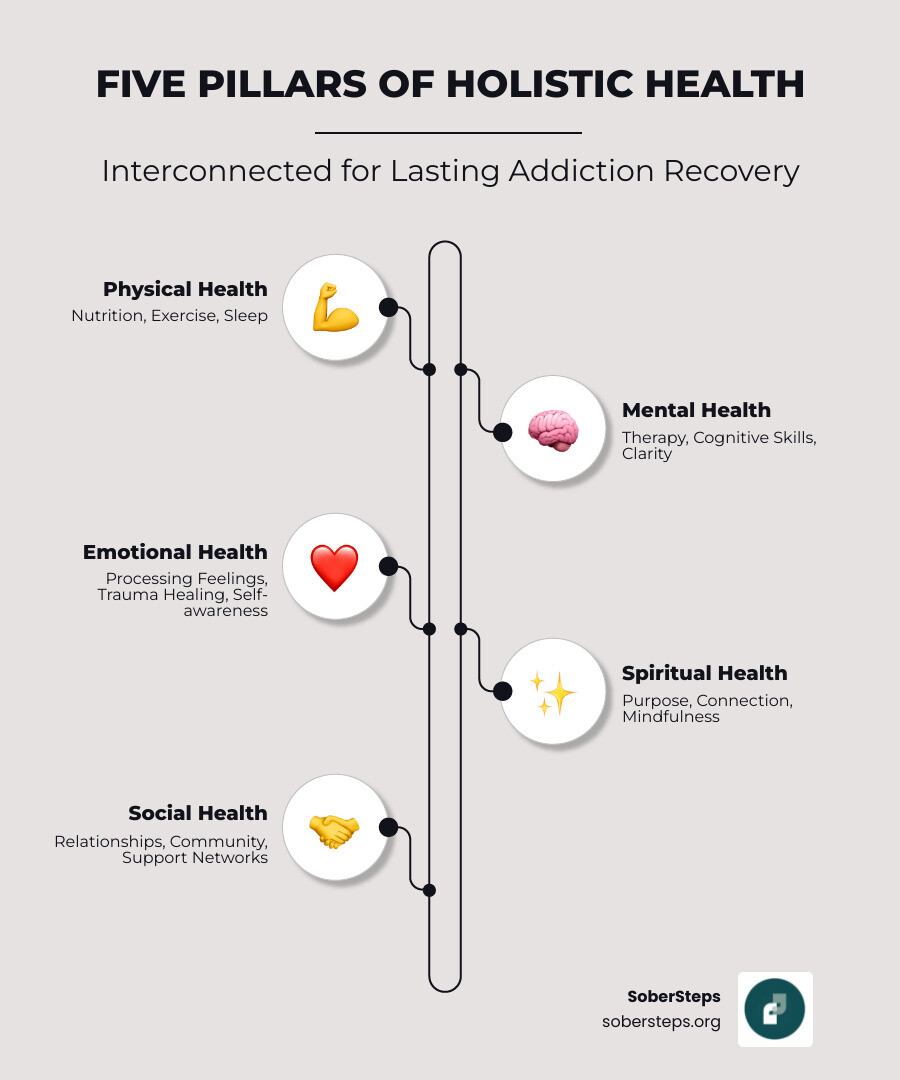 Infographic showing the five interconnected pillars of holistic health in addiction recovery: Physical Health (nutrition, exercise, sleep), Mental Health (therapy, cognitive skills, clarity), Emotional Health (processing feelings, trauma healing, self-awareness), Spiritual Health (purpose, connection, mindfulness), and Social Health (relationships, community, support networks) - holistic addiction treatment infographic Infographic showing the five interconnected pillars of holistic health in addiction recovery: Physical Health (nutrition, exercise, sleep), Mental Health (therapy, cognitive skills, clarity), Emotional Health (processing feelings, trauma healing, self-awareness), Spiritual Health (purpose, connection, mindfulness), and Social Health (relationships, community, support networks) - holistic addiction treatment infographic