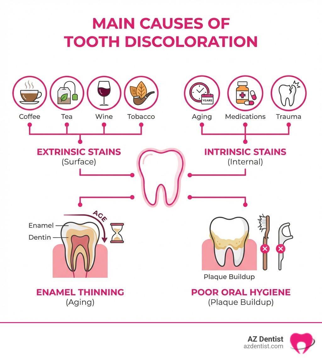 infographic showing the main causes of tooth discoloration including extrinsic stains from coffee tea wine and tobacco, intrinsic stains from aging medications and trauma, enamel thinning with age, and poor oral hygiene leading to plaque buildup - teeth whitening infographic infographic showing the main causes of tooth discoloration including extrinsic stains from coffee tea wine and tobacco, intrinsic stains from aging medications and trauma, enamel thinning with age, and poor oral hygiene leading to plaque buildup - teeth whitening infographic
