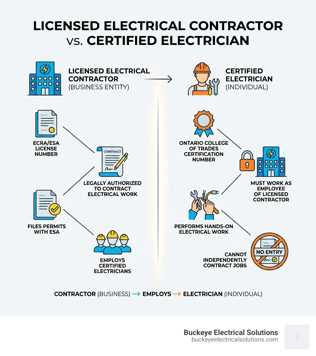 Infographic showing the difference between a Licensed Electrical Contractor (business entity with ECRA/ESA license number, legally authorized to contract electrical work, files permits with ESA, employs certified electricians) and a Certified Electrician (individual with Ontario College of Trades certification number, must work as employee of licensed contractor, performs hands-on electrical work, cannot independently contract jobs) - licensed electrician infographic 