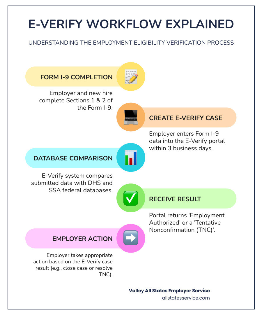 Infographic showing the E-Verify workflow: Employer completes Form I-9 with new hire, enters data into E-Verify employer portal within 3 business days, system compares information against DHS and SSA databases, portal returns Employment Authorized or Tentative Nonconfirmation result to employer, employer takes appropriate action based on case result - E-Verify employer portal infographic infographic-line-5-steps-colors