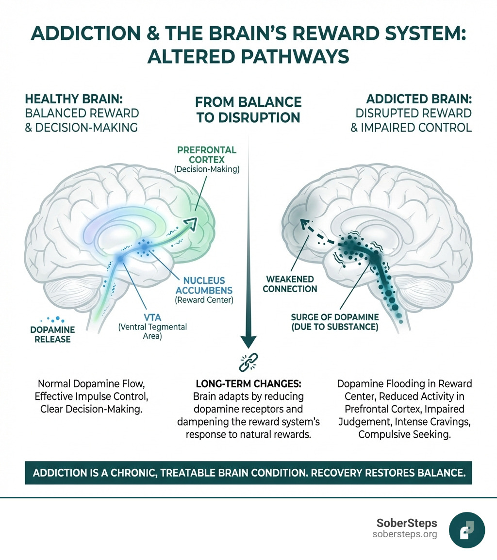 How addiction affects the brain's reward system, showing changes in dopamine pathways and decision-making centers - addictions treatment infographic 