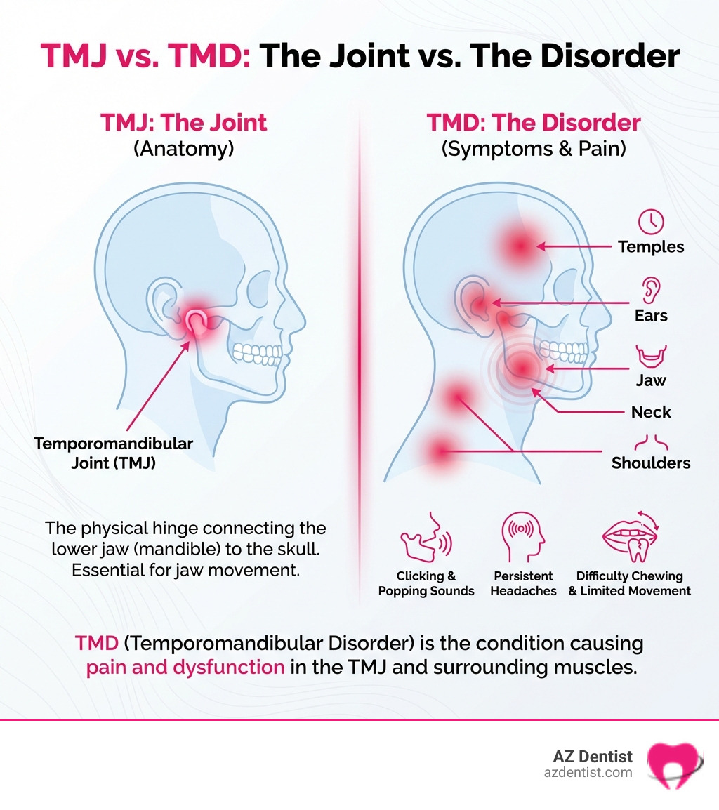 infographic showing the difference between TMJ (the physical joint located in front of the ear where the lower jaw meets the skull) and TMD (the disorder causing symptoms), with labeled diagrams of common pain points including the jaw, temples, ears, neck, and shoulders, plus icons representing symptoms like clicking sounds, headaches, and difficulty chewing - Phoenix TMJ treatment infographic infographic showing the difference between TMJ (the physical joint located in front of the ear where the lower jaw meets the skull) and TMD (the disorder causing symptoms), with labeled diagrams of common pain points including the jaw, temples, ears, neck, and shoulders, plus icons representing symptoms like clicking sounds, headaches, and difficulty chewing - Phoenix TMJ treatment infographic