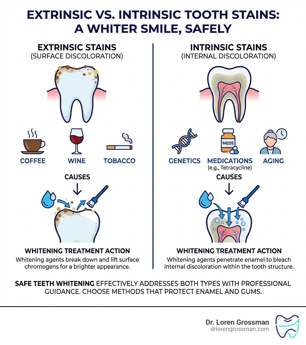 Infographic showing the difference between extrinsic stains (surface stains from coffee, wine, tobacco) and intrinsic stains (internal discoloration from genetics, medications, aging), with icons depicting each cause and how whitening treatments address them differently - safe teeth whitening infographic Infographic showing the difference between extrinsic stains (surface stains from coffee, wine, tobacco) and intrinsic stains (internal discoloration from genetics, medications, aging), with icons depicting each cause and how whitening treatments address them differently - safe teeth whitening infographic